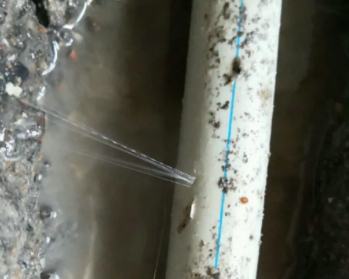 山南市卫生间测漏水多少钱